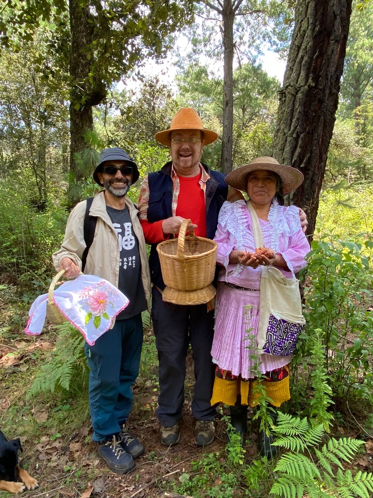 Mushroom Foraging