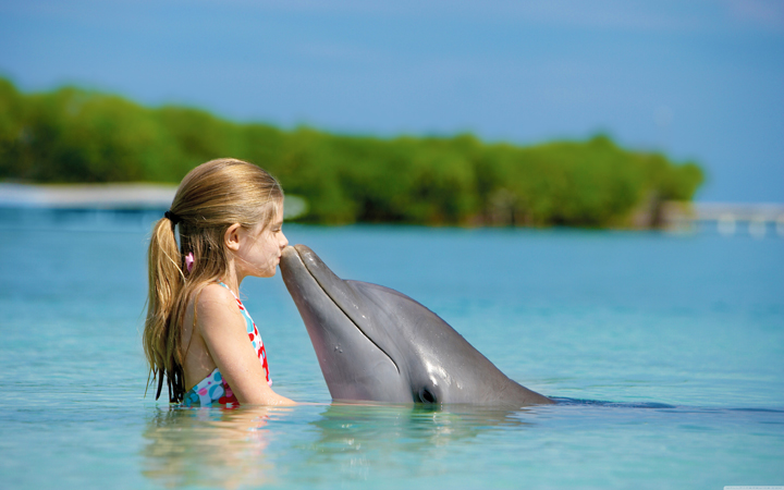 People_Entertainment_and_recreation_Girl_and_Dolphin_035480_